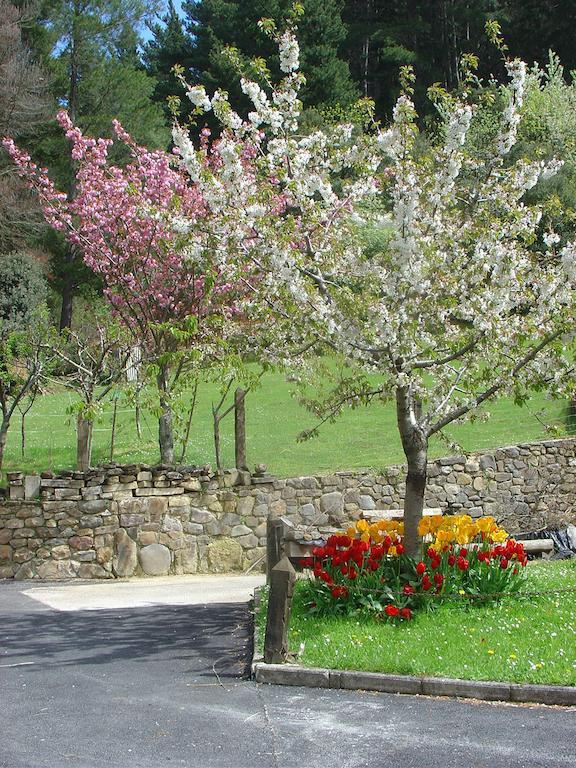 Haras Aritza Ξενοδοχείο Ojedo Δωμάτιο φωτογραφία